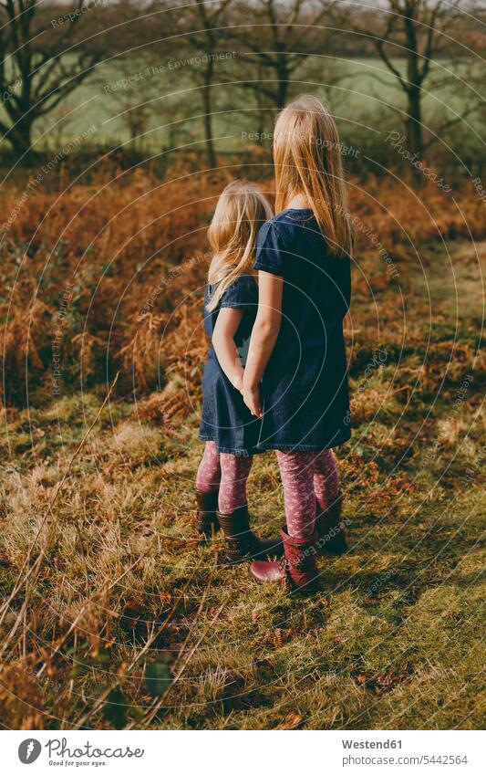Two sisters standing on a meadow holding hands meadows girl females girls siblings brother and sister brothers and sisters family families people persons