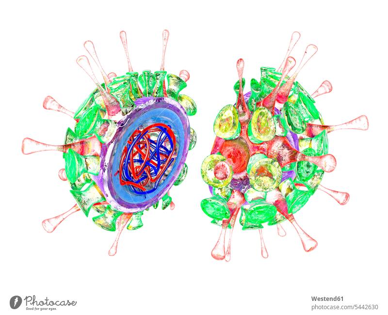 Influenza virus, 3D Rendering shape shapes healthcare health-care research half halves halved spherical shape spherical shapes white background Macro
