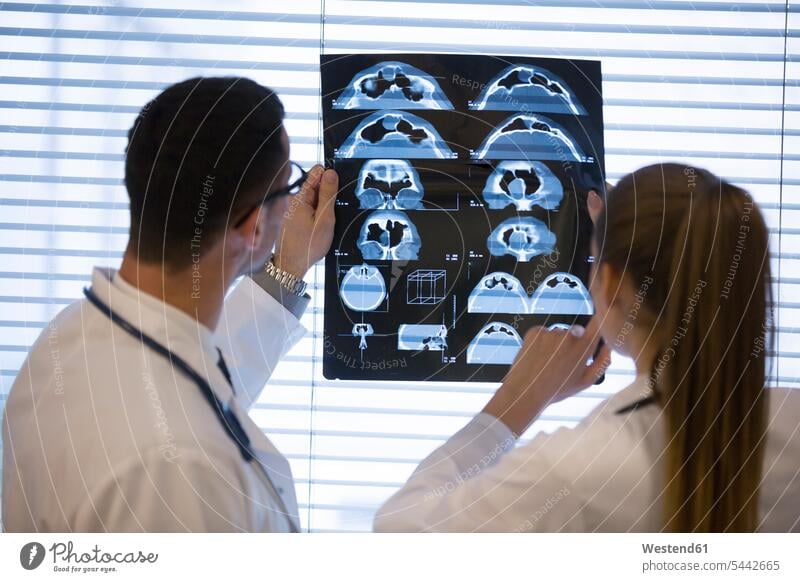 Two doctors discussing x-ray film Medical X-Ray Female Doctor physicians Female Doctors discussion x-raying physical examination Medical Exam