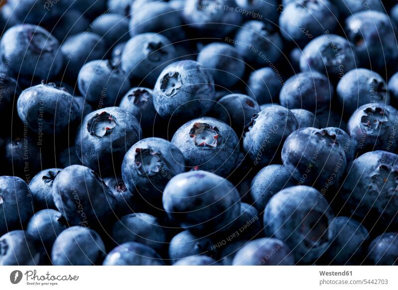 Blueberries, close-up food and drink Nutrition Alimentation Food and Drinks Fruit Fruits healthy eating nutrition Part Of partial view cropped blueberry