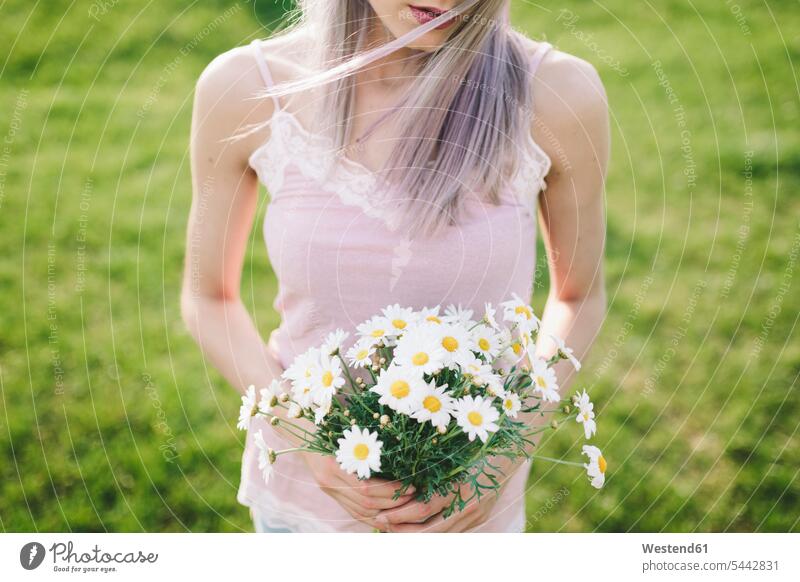 Woman holding bunch of daisies, partial view Flower Flowers meadow meadows woman females women Adults grown-ups grownups adult people persons human being humans