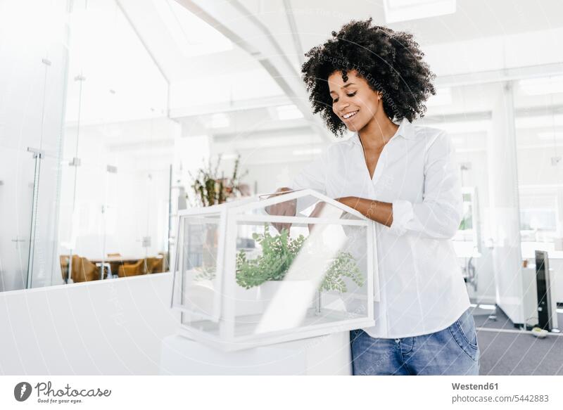 Smiling young woman in office caring for plants in glass box standing Plant Plants smiling smile females women Adults grown-ups grownups adult people persons