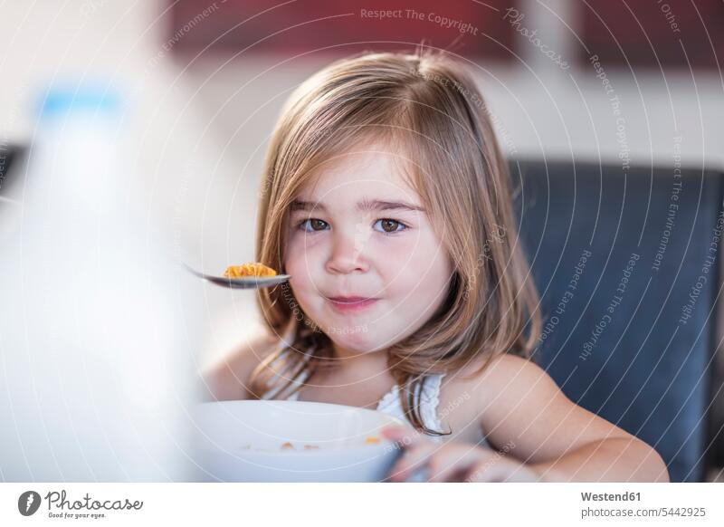 Portrait of toddler eating breakfast cereal Breakfast girl females girls home at home Meals Food foods food and drink Nutrition Alimentation Food and Drinks