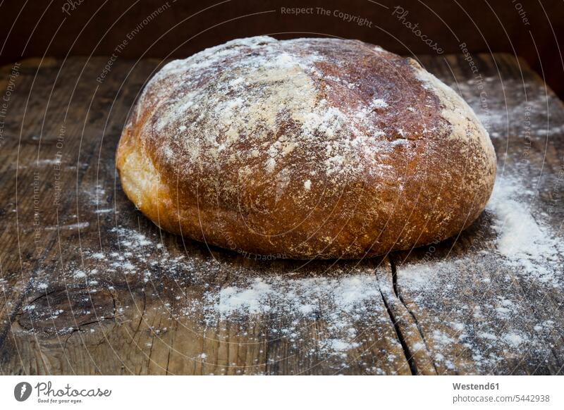 Wheat bread powdered with flour on dark wood food and drink Nutrition Alimentation Food and Drinks Brown Bread Rye Bread Brown Breads Rye Breads loaf of bread