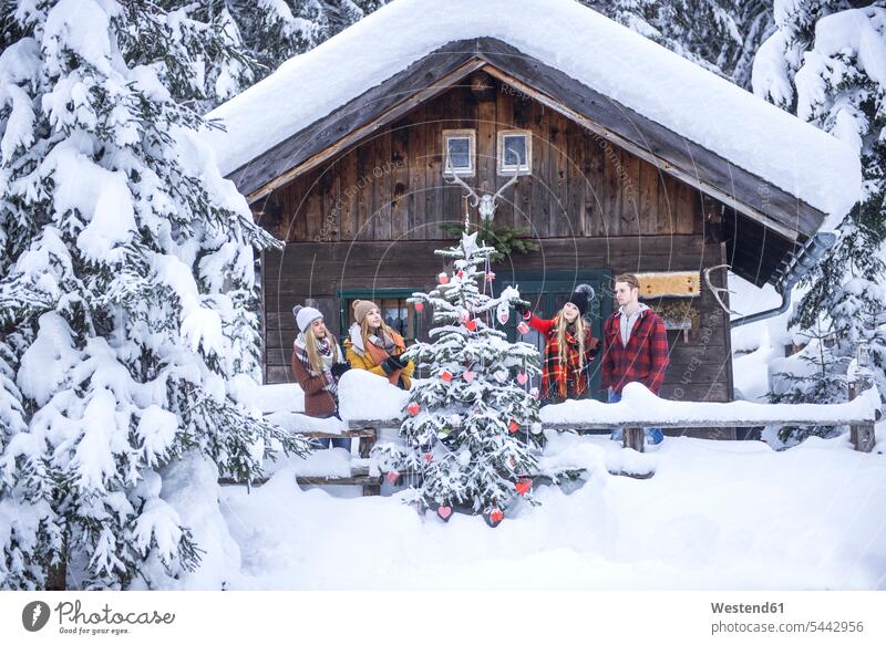Austria, Altenmarkt-Zauchensee, friends decorating Christmas tree at wooden house X-Mas yule Xmas X mas Christmas trees winter hibernal decorate snow mate