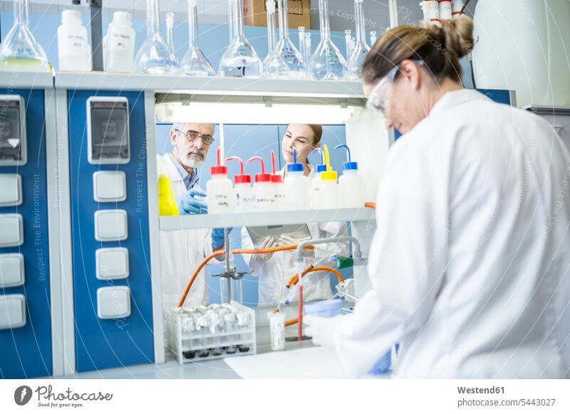 Scientists working together in lab scientist At Work female scientists laboratory science sciences scientific workplace work place place of work Protection