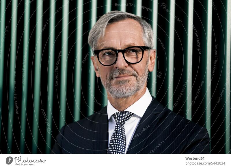Portrait of grey-haired businessman in front of green wall Businessman Business man Businessmen Business men portrait portraits business people businesspeople