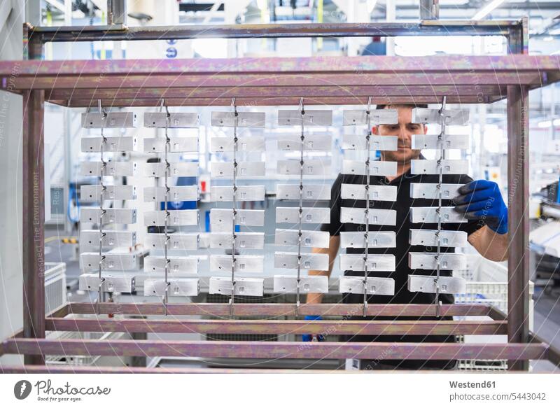 Man working in factory shop floor hanging products on rack worker blue collar worker workers blue-collar worker At Work man men males factories Job Occupation