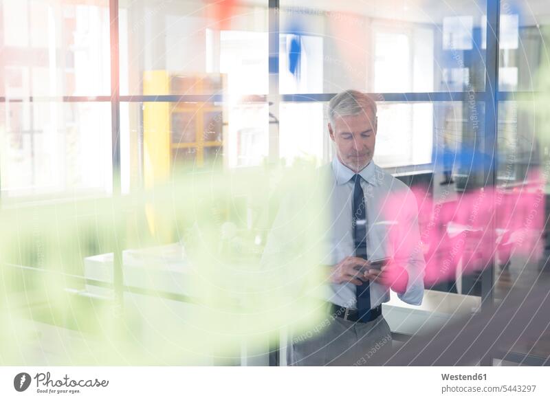 Mature businessman standing in office, using smartphone Concentration concentrating concentrated planning office expertise competence competent working At Work