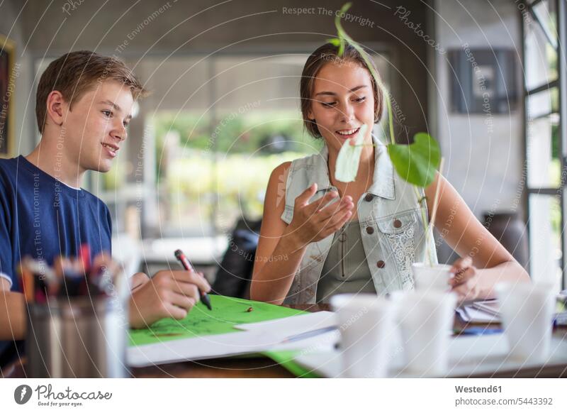 Boy and girl examining plant smiling smile student pupils learning schoolchildren education home at home cup casual leisure wear casual clothing casual wear