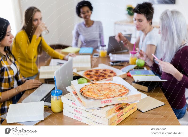 Group of young women at home studying and having pizza Pizza Pizzas woman females student female students Food foods food and drink Nutrition Alimentation
