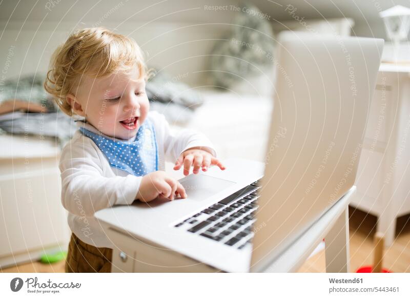 Little boy at home playing with laptop Laptop Computers laptops notebook computer computers caucasian caucasian ethnicity caucasian appearance european