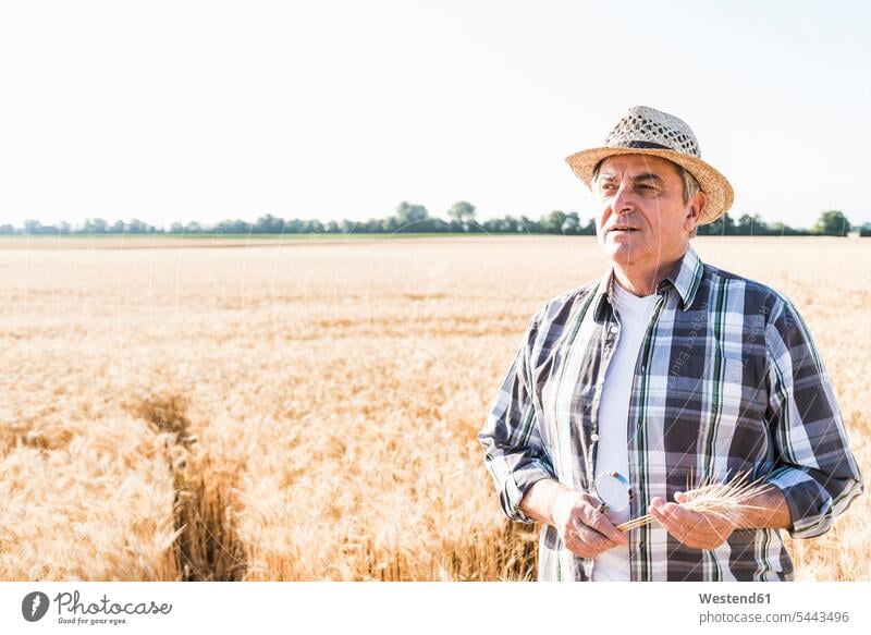 Portrait of pensive senior farmer in a field agriculturists farmers agriculture watching looking looking at Field Fields farmland thinking serious earnest