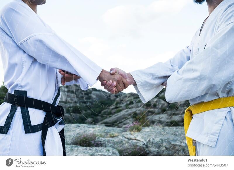 Men shaking hands during a martial arts training exercising exercise practising man men males fighting combative sport Handclasp Handclap Adults grown-ups