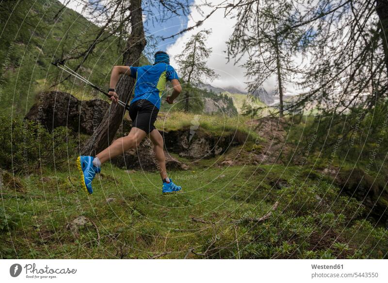 Italy, Alagna, trail runner on the move in forest athlete Sportspeople Sportsman Sportsperson athletes Sportsmen woods forests males running mountain mountains