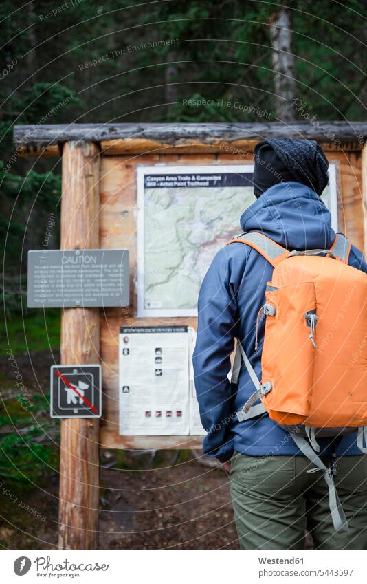 USA, Wyoming, Yellowstone National Park, man standing in front of an info panel forest woods forests board boards hiker wanderers hikers men males hiking Adults