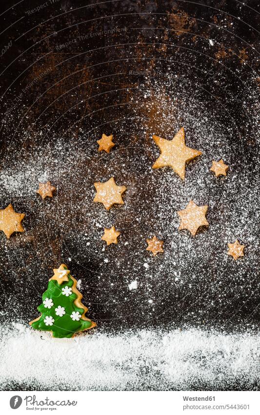 Christmas Cookies and icing sugar on baking tray green overhead view from above top view Overhead Overhead Shot View From Above Fir Abies Firs