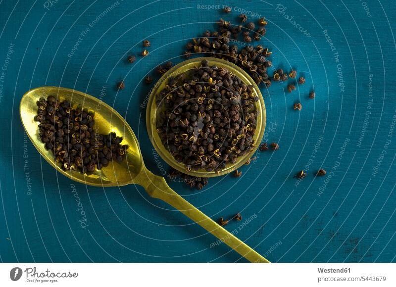 Szechuan pepper on brass spoon exotic Exoticism exotical outlandish copy space Zanthoxylum Piperitum spice flavouring flavoring spices blue background
