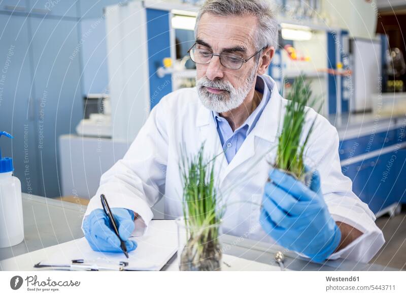 Scientist in lab examiming plant and taking notes scientist Plant Plants science sciences scientific laboratory making a note note taking workplace work place