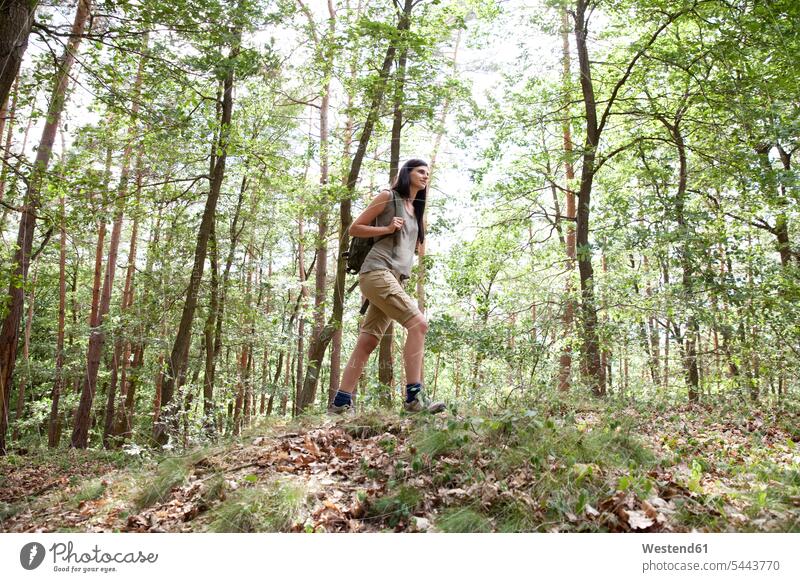Young woman with backpack on a hiking trip in forest woods forests hike females women Adults grown-ups grownups adult people persons human being humans