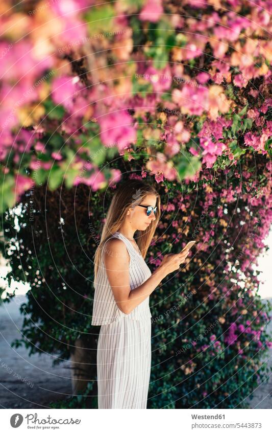 Woman using cell phone in park under pink blossoms mobile phone mobiles mobile phones Cellphone cell phones flowering blooming woman females women telephones