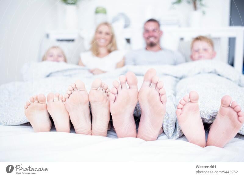 Feet of family lying in bed foot human foot human feet laying down lie lying down relaxed relaxation smiling smile families beds people persons human being