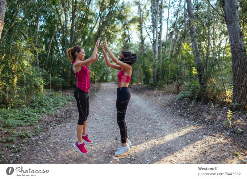 Two active women high fiving in forest female friends exercise exercises practising exercising High Five Hi-Five high-fiving High-Five woman females woods