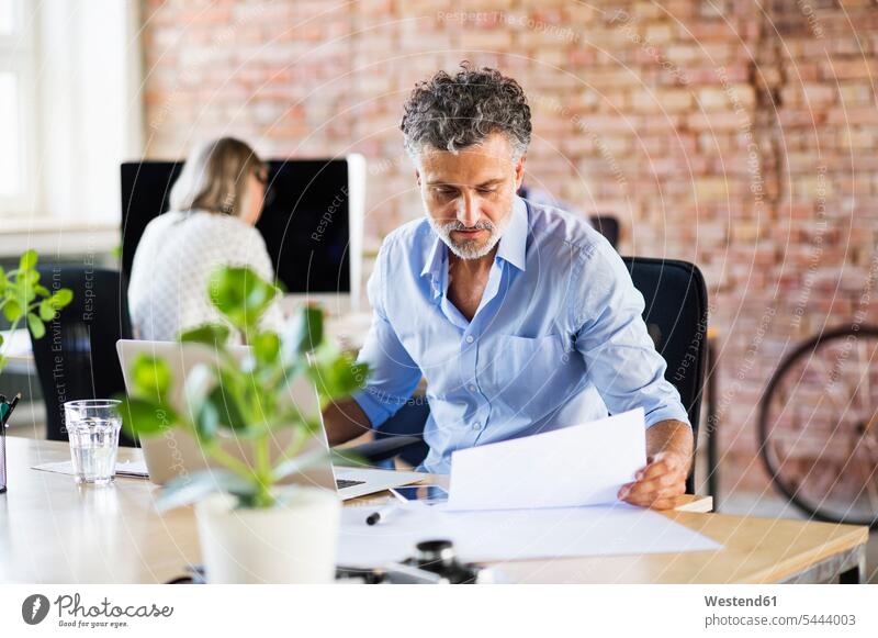 Businessman working in office checking documents reading team business people businesspeople startup young business start up startup company startups
