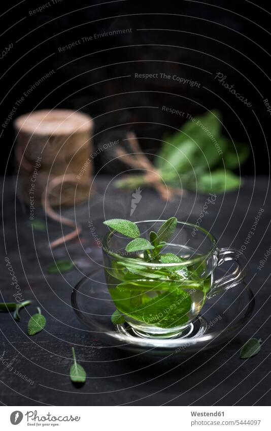 Tea glass of steaming sage tea with sage leaves tea glass tea glasses Tea Cup Tea Cups Teacup Teacups hot heat Hot Temperature Leaf Leaves organic