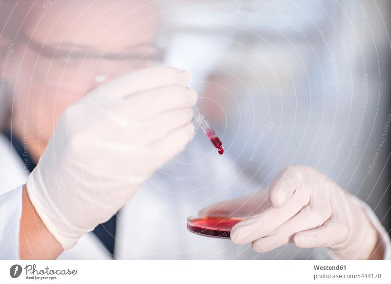 Scientist working in lab with pipet and petri dish laboratory petri dishes female scientists At Work science sciences scientific pipette dropper pipets pipettes