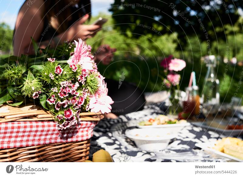 Healthy picnic in a park in summer Smartphone iPhone Smartphones photographing mobile phone mobiles mobile phones Cellphone cell phone cell phones telephones