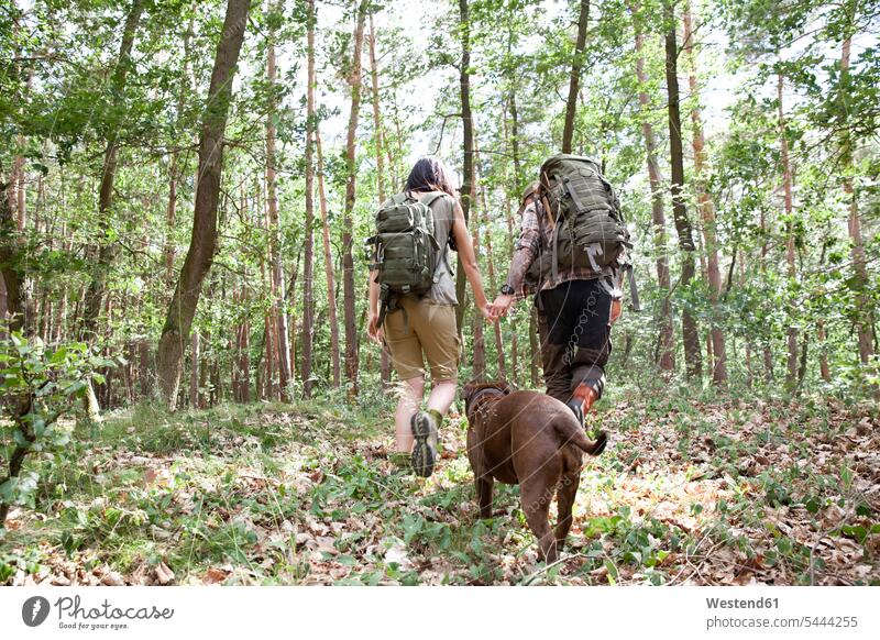 Couple with backpacks and dog on a hiking trip in forest dogs Canine woods forests hike couple twosomes partnership couples pets animal creatures animals people