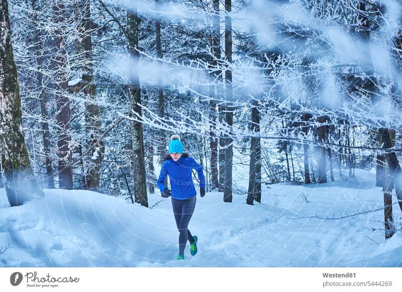 Germany, Bavaria, Jochberg, woman jogging in winter forest exercising exercise training practising females women running Jogging Adults grown-ups grownups adult