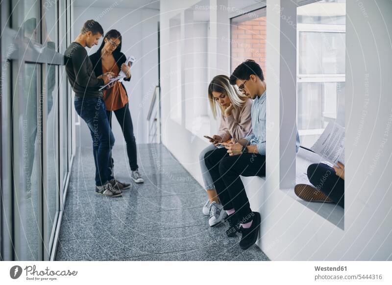 Group of students in hallway with documents and cell phones mobile phone mobiles mobile phones Cellphone group of people groups of people studying corridor