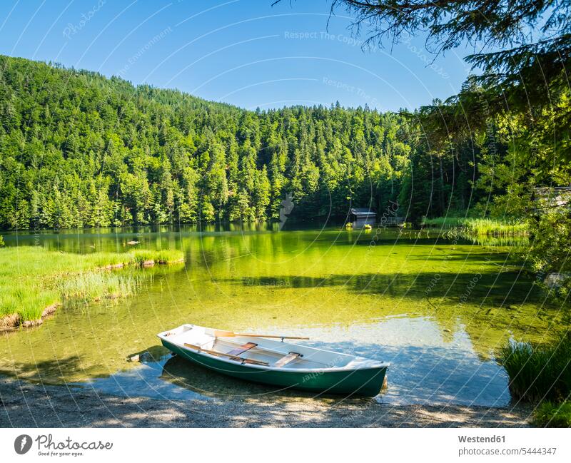 Austria, Styria, Salzkammergut, Ausseer Land, Goessl, Lake Toplitz, rowing boat Lakeshore Lake Shore lakeside outdoors outdoor shots location shot