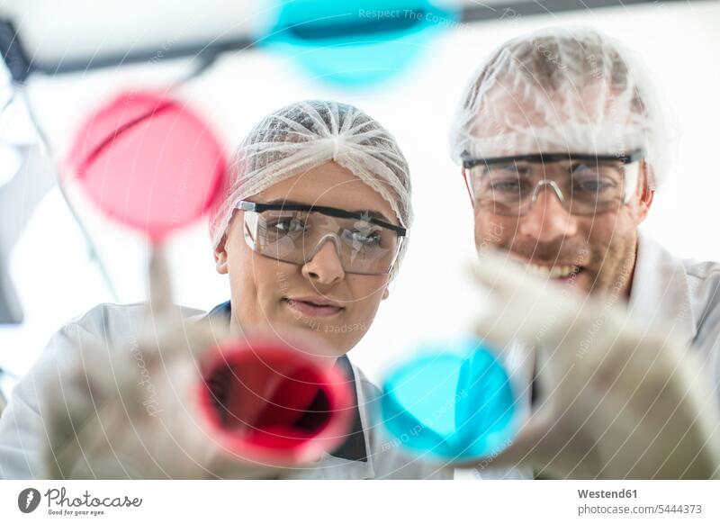 Two scientists working in lab together looking at petri dishes laboratory science sciences scientific colleagues smiling smile At Work test testing workplace