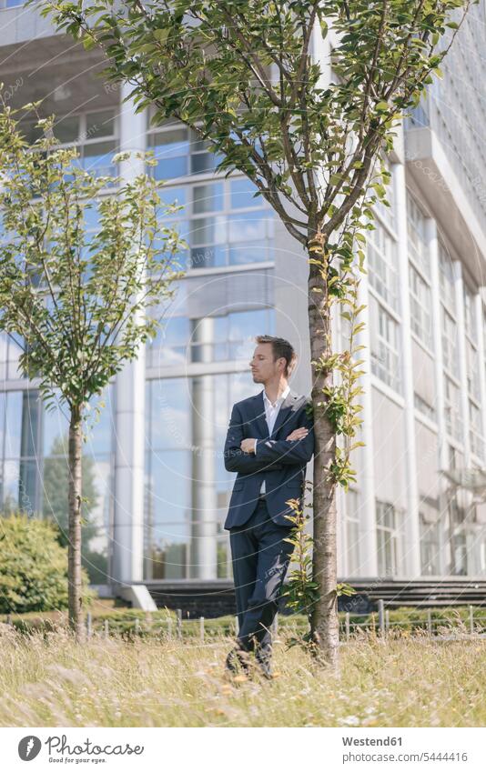Businessman leaning against a tree in front of office building Tree Trees standing office buildings Business man Businessmen Business men built structure