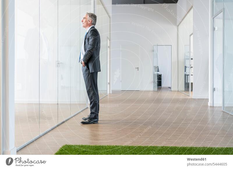 Mature businessman standing in office space with green grass carpet environment ecology environmental Coworking space shared workspace office sharing offices