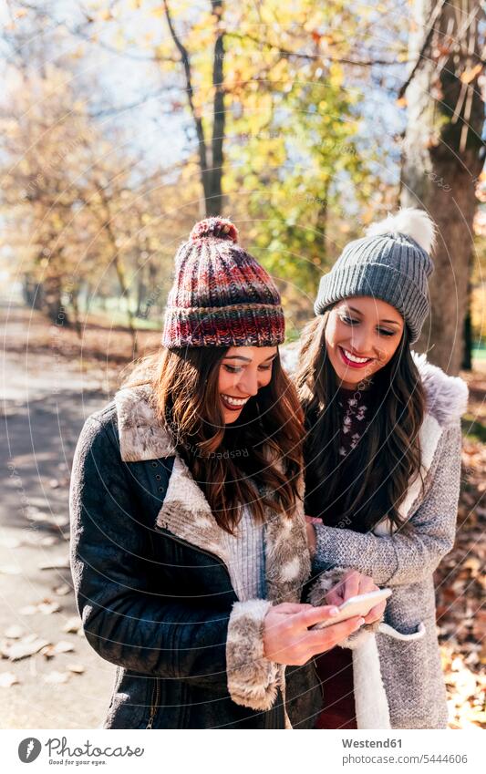 Two happy women with cell phone in autumnal forest female friends mobile phone mobiles mobile phones Cellphone cell phones woman females happiness beautiful