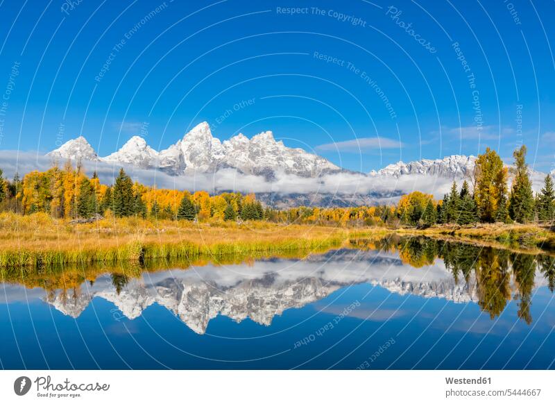 USA, Wyoming, Grand Teton National Park, view to Teton Range with Snake River in the foreground beauty of nature beauty in nature Tree Trees autumn fall