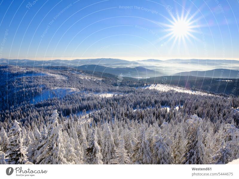 Germany, Bavaria, Bavarian Forest in winter, View from Great Arber southwest beauty of nature beauty in nature natural world Lens Flare Lens Flares Lensflare