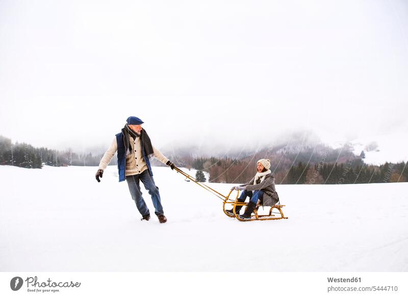 Senior couple having fun with sledge in snow-covered landscape sledges senior couple elder couples senior couples adult couple adult couples twosomes