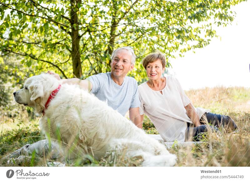 Senior couple with dog in meadow dogs Canine smiling smile meadows twosomes partnership couples pets animal creatures animals people persons human being humans