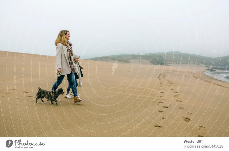 Woman walking with daughter and dog on the beach on a foggy winter day daughters mother mommy mothers mummy mama dogs Canine beaches child children family