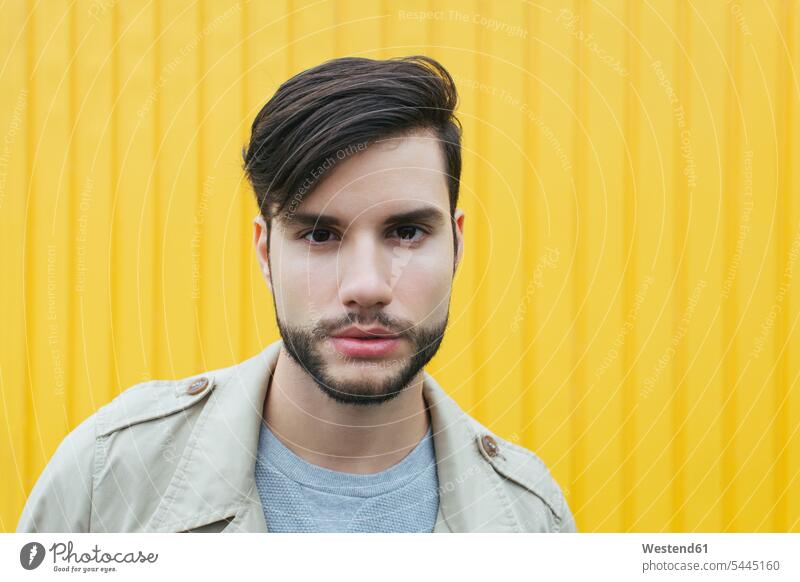Portrait of bearded young man in front of yellow background portrait portraits men males serious earnest Seriousness austere Adults grown-ups grownups adult