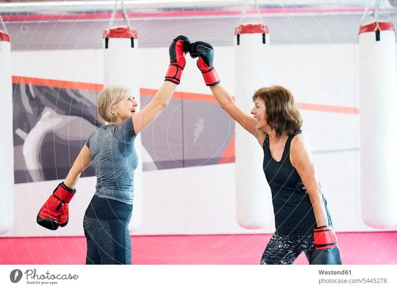 Two happy senior women with boxing gloves in gym senior adults seniors old Women's Boxing Fun having fun funny training Sport Training gyms Health Club laughing