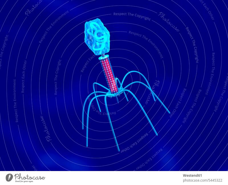 3D rendered Illustration of a convergence to a Bacteriophage research shape shapes Macro Macro photography three dimensional Three-Dimensional Shape 3-d