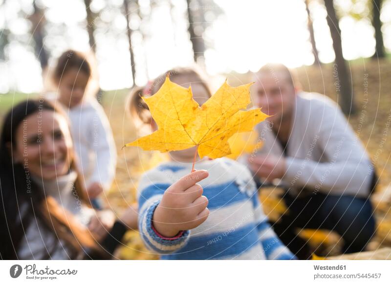 Girl with her family holding autumn leaf fall happiness happy forest woods forests girl females girls autumn leaves families child children kid kids people