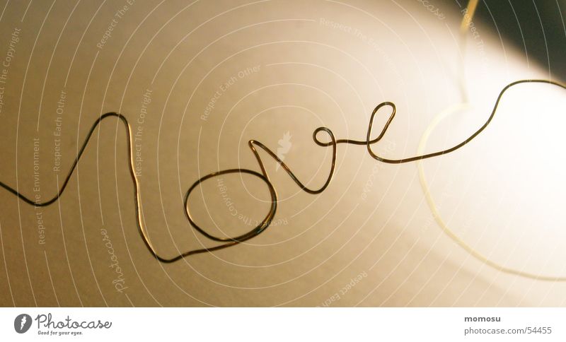 love Love Wire Curved Light Shadow Gold wire