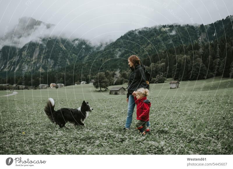 Austria, Vorarlberg, Mellau, mother and toddler with dog on a trip in the mountains dogs Canine forest woods forests daughter daughters walking going mommy